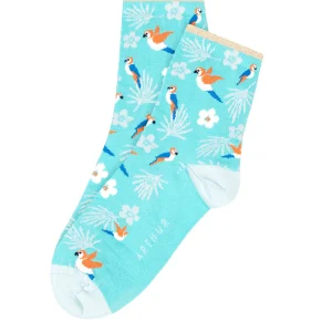Chaussettes Perroquet