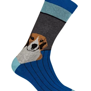 Chaussettes - Beagle
