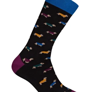Chaussettes Teckel - Noir