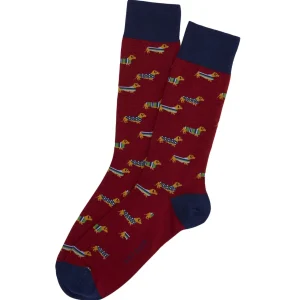 Chaussettes - Teckel Bordeaux