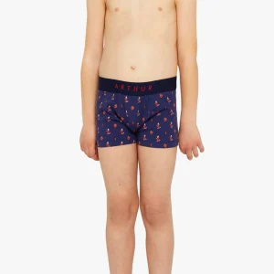 Boxer - On Fire Marine