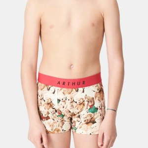 Boxer enfant - Teddy