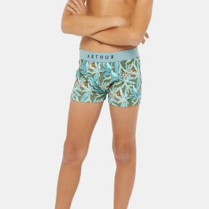 Boxer enfant - Tigre