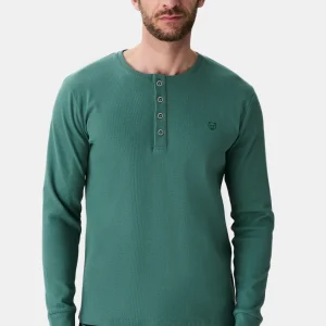 Tee-shirt manches longues - Lichen