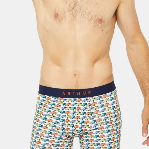 Boxer - Voitures 2CV Multicolore