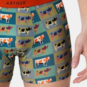 Boxer - Pop Vache