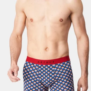 Boxer - Teddy In Paris