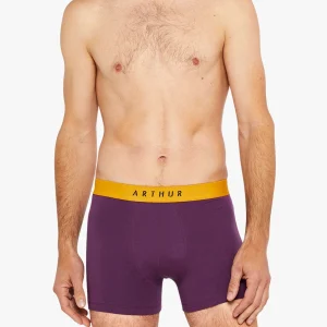 Boxer - Coton Aubergine