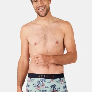 Boxer - Fauve qui Peut