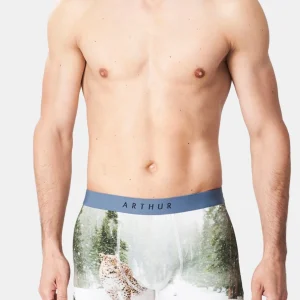 Boxer - Panthère des Neiges