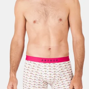 Boxer - Comment savane