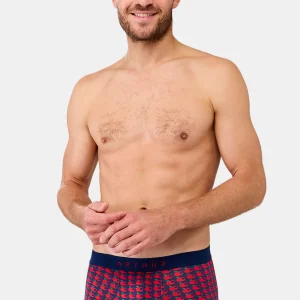 Boxer - Pomme d'amour