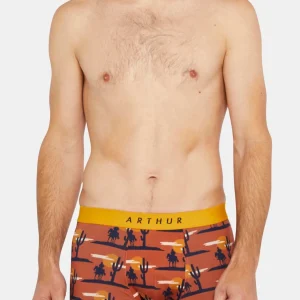 Boxer A l'ouest - Cognac