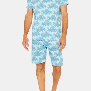 Tee-shirt manches courtes - Palmier