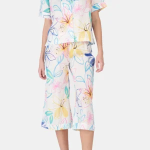 Pyjacorsaire - Flore