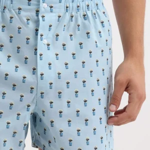 Caleçon classique - Blaireau Jade