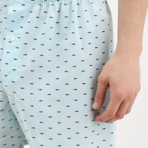 Caleçon classique - Requin