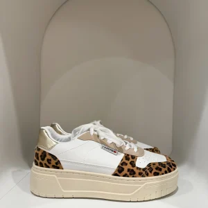 BASKET IZEA LEOPARD