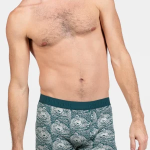 Boxer - Ours des montagnes