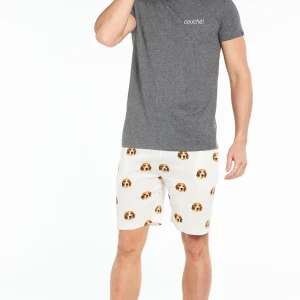 Pyjashort Beagle - Gris
